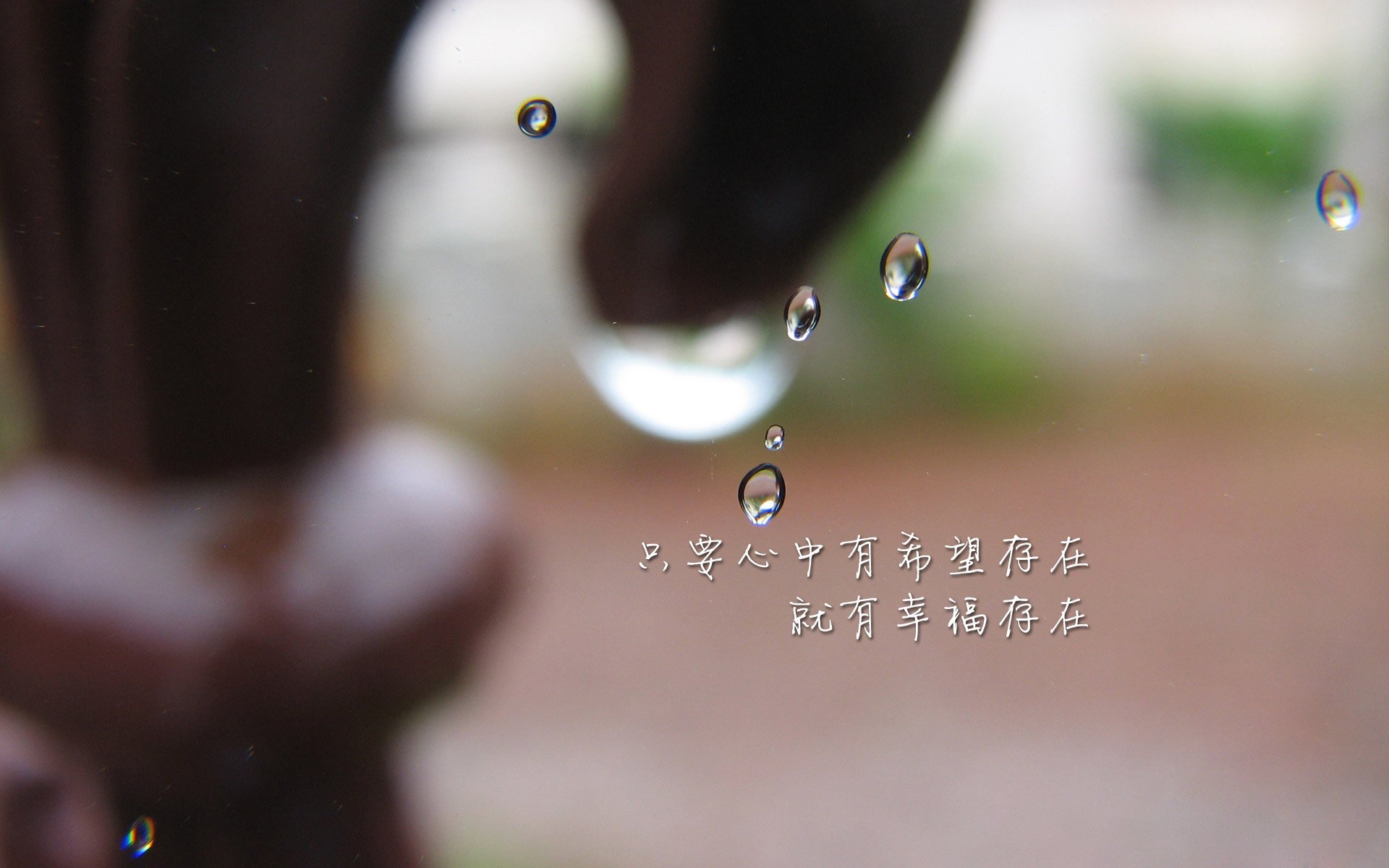 全国男子橄榄球联赛广东队三连冠，男子橄榄球视频精彩视频