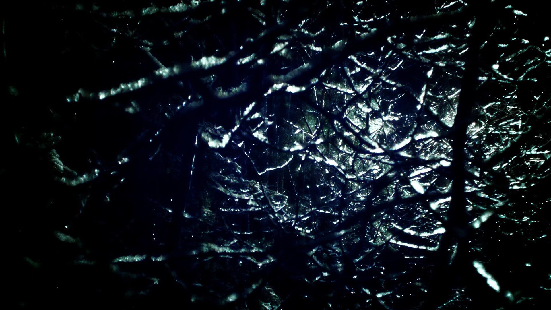 “费尔南多·比亚尔巴：阿根廷美洲狮队的进攻大师”