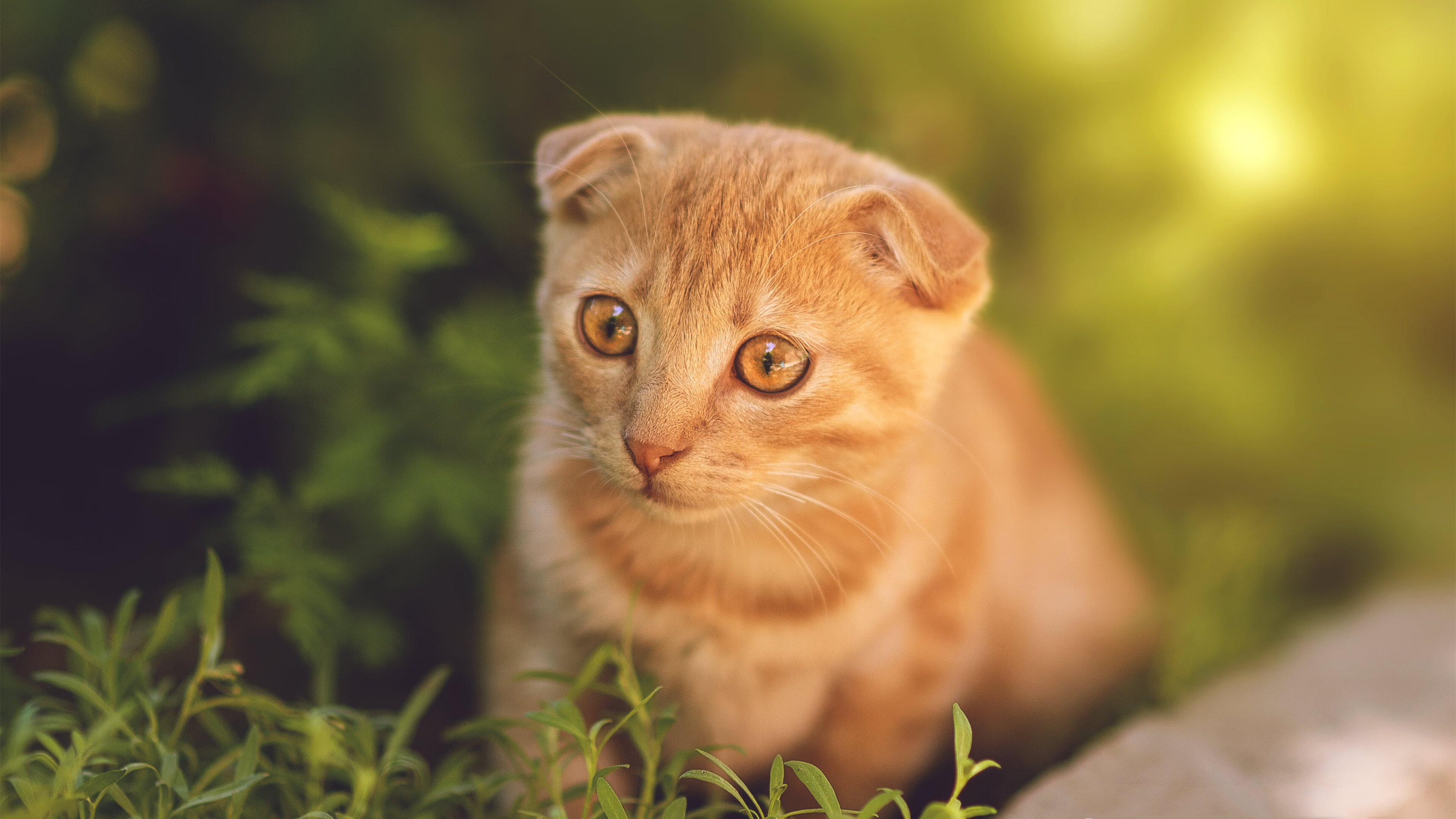 中国男篮强调攻防转化速度追求比赛节奏优势，中国男篮篮球规则