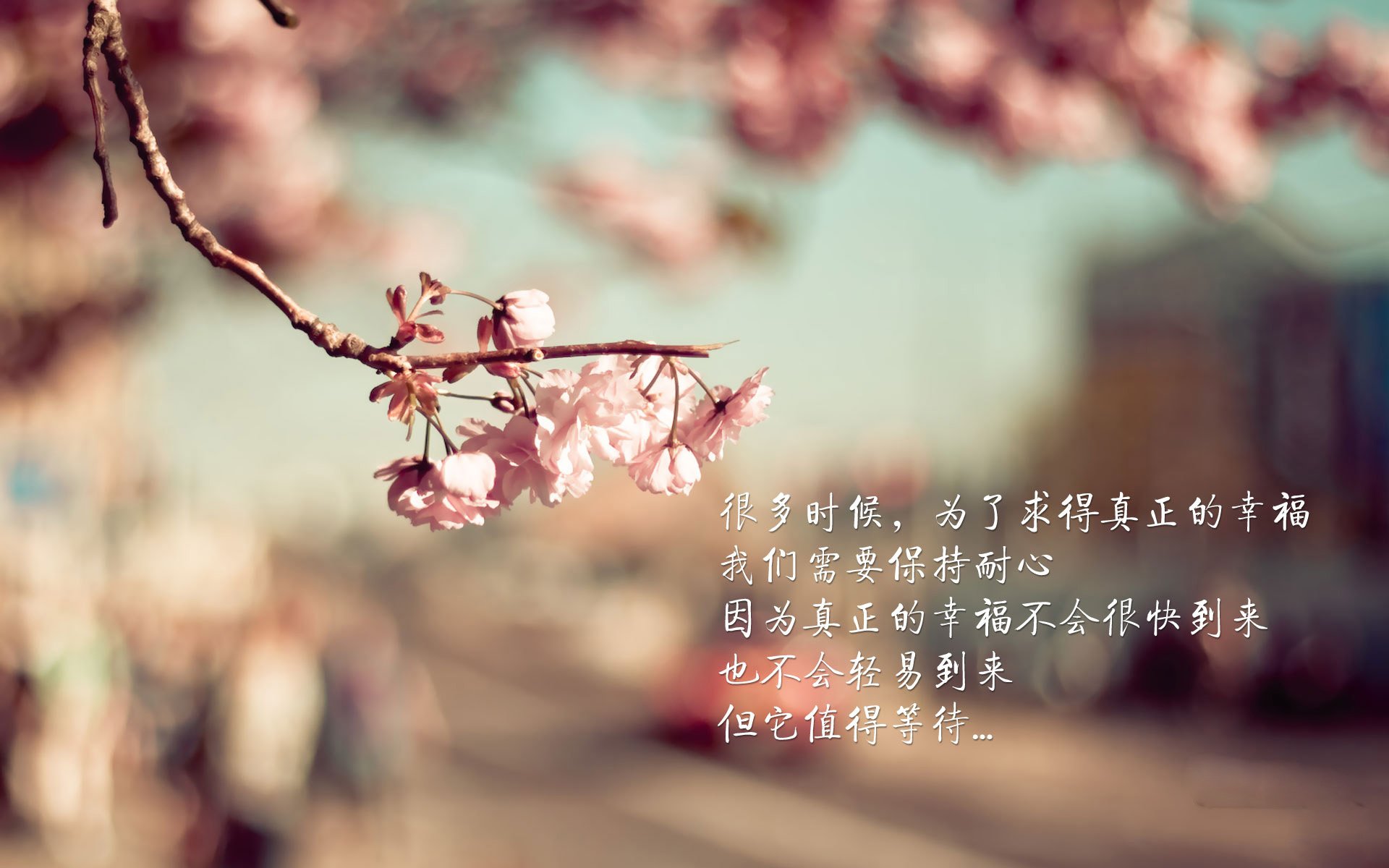 国王主帅专注培养年轻球员对比赛阅读能力,国王球队队员