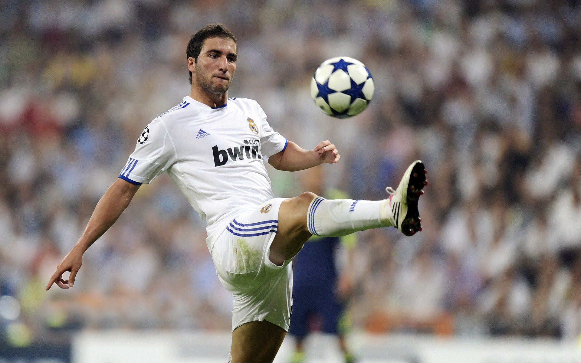 埃及队未来发展：借助国际赛事，提升选手抗压能力，埃及队怎么样